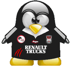 penguin pingouin pinguino 861